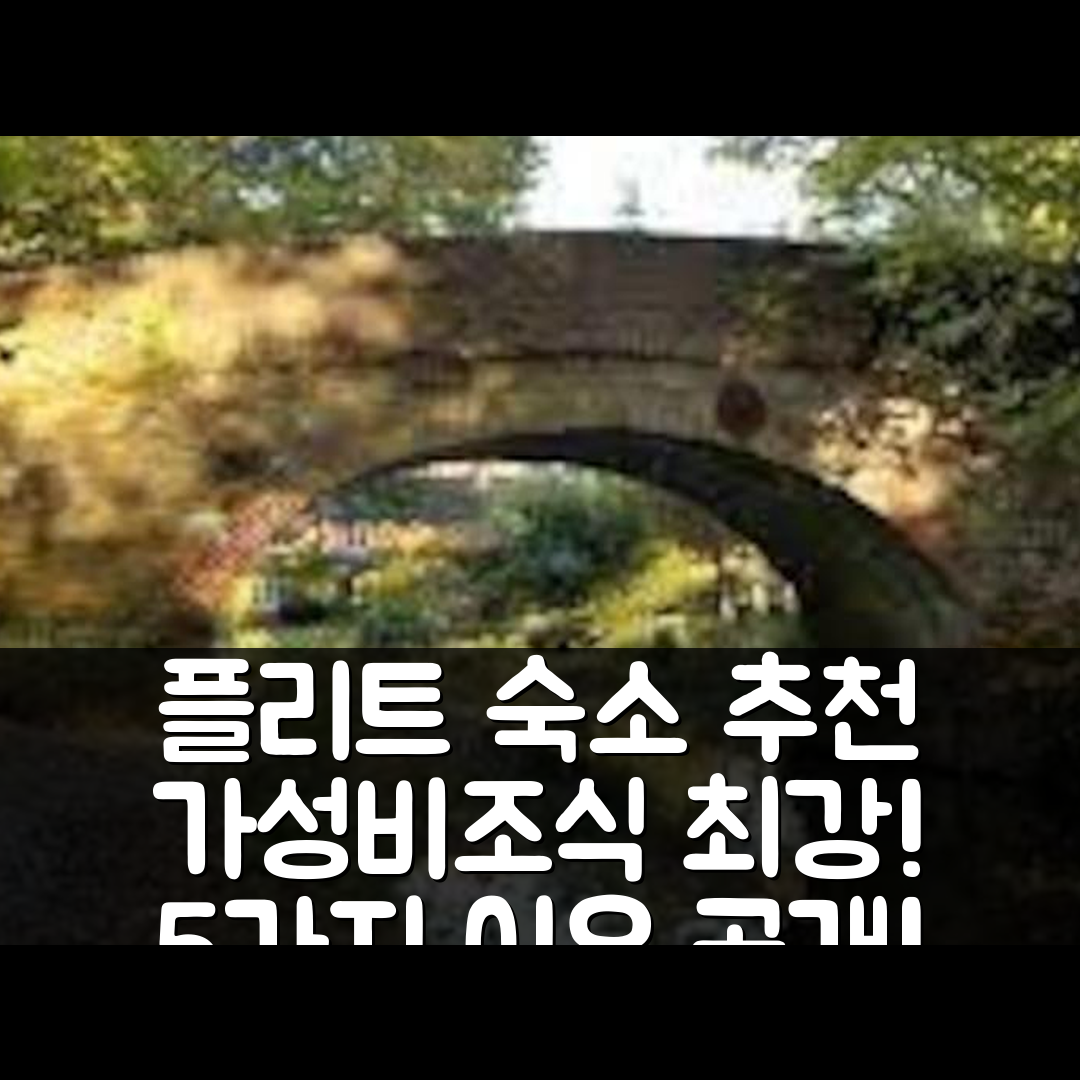 플리트 숙소 여행 호텔 추천 제니스 앳 플리트 하이츠 아파트먼트 3 | 가성비와 조식이 뛰어난 5가지 이유
