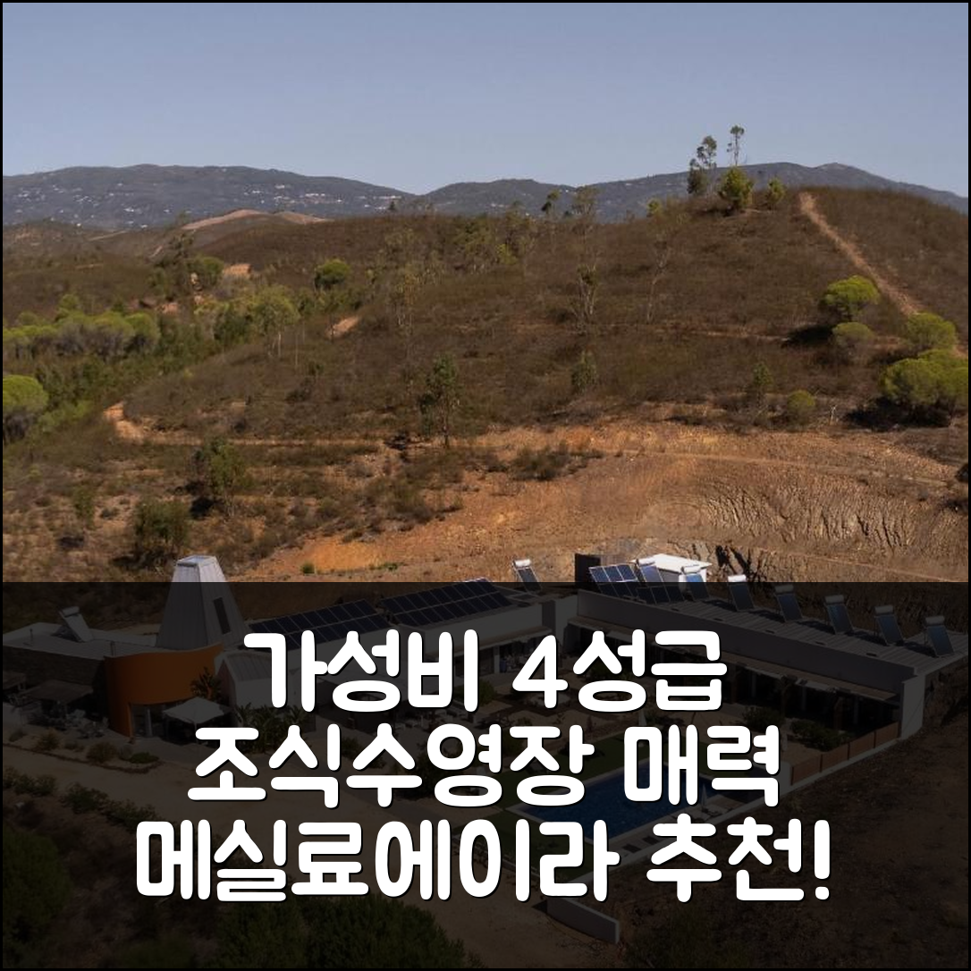 메실료에이라 그란제 숙소 여행 호텔 추천 아.티.투도 네이처 | 가성비 좋은 4성급 조식과 수영장의 매력 5가지