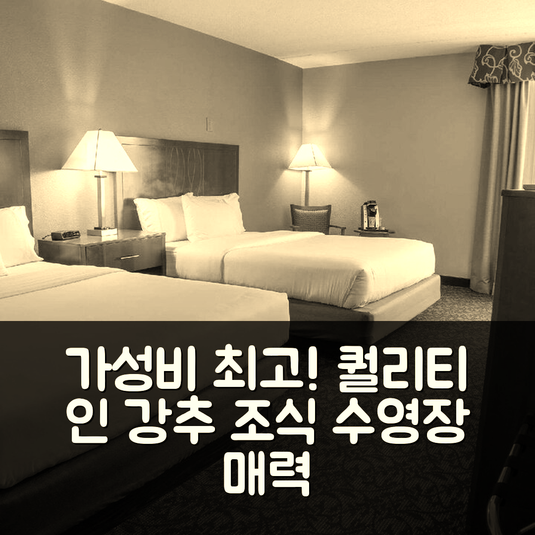 맨스필드 숙소 여행 호텔 추천 퀄리티 인 앤 스위트 다운타운 | 가성비 좋은 조식과 수영장 5가지 매력
