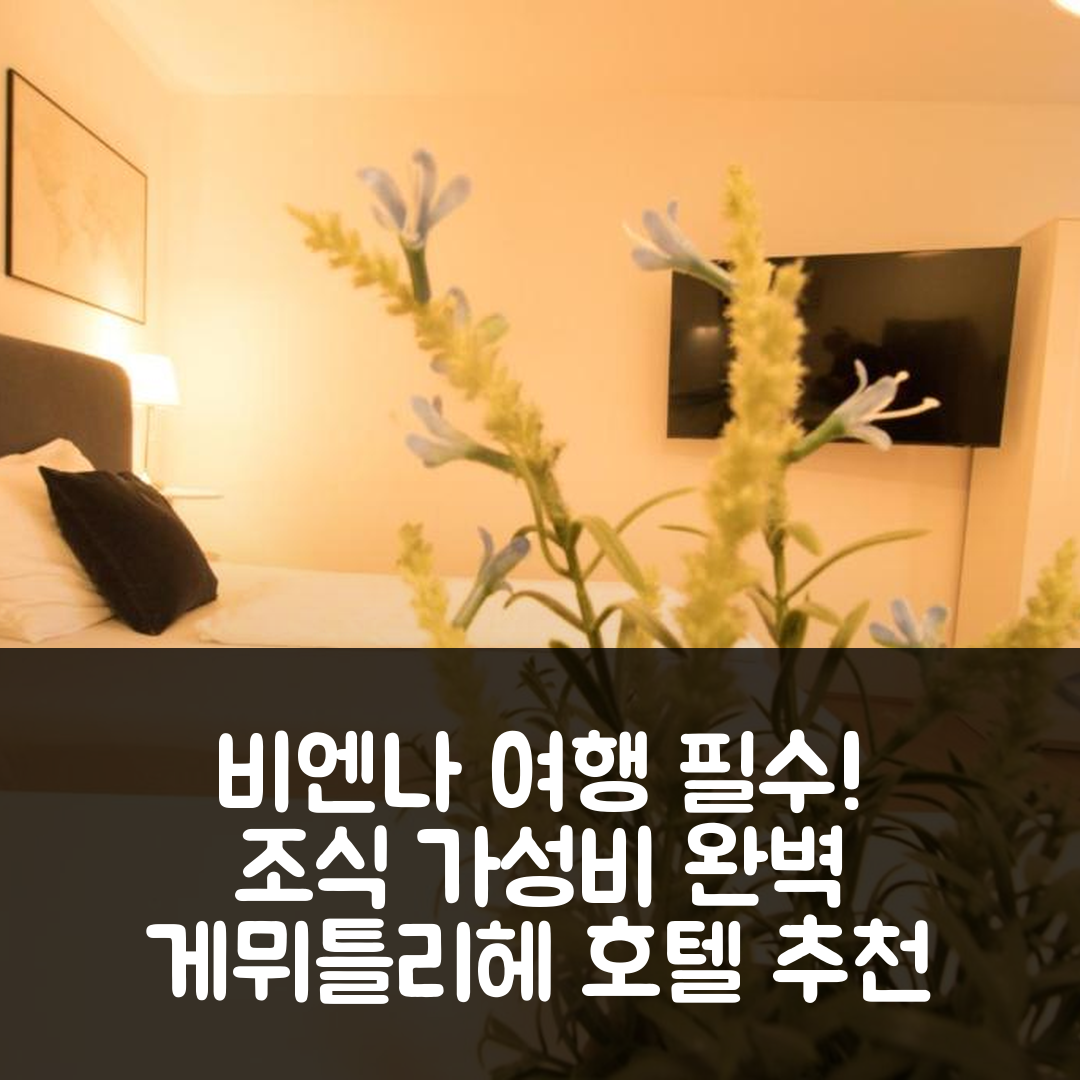 비엔나 숙소 여행 호텔 추천 더 게뮈틀리헤 오르트 호텔 | 가성비 뛰어난 조식과 위치 정보 5가지