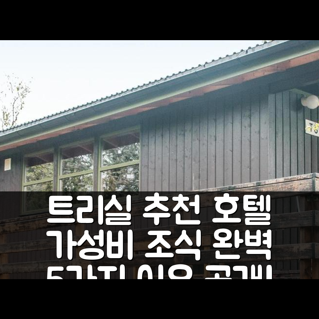 트리실 숙소 여행 호텔 추천 투 베드룸 홀리데이 홈 인 트리실 | 가성비와 조식 완벽한 5가지 이유