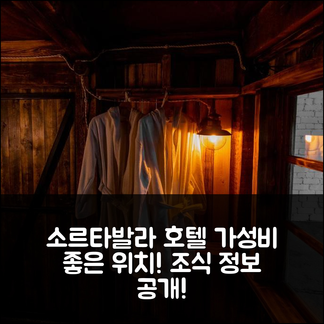 소르타발라 숙소 여행 호텔 추천 노치 브 뮤제 호텔 | 가성비 뛰어난 위치와 조식 정보 7가지