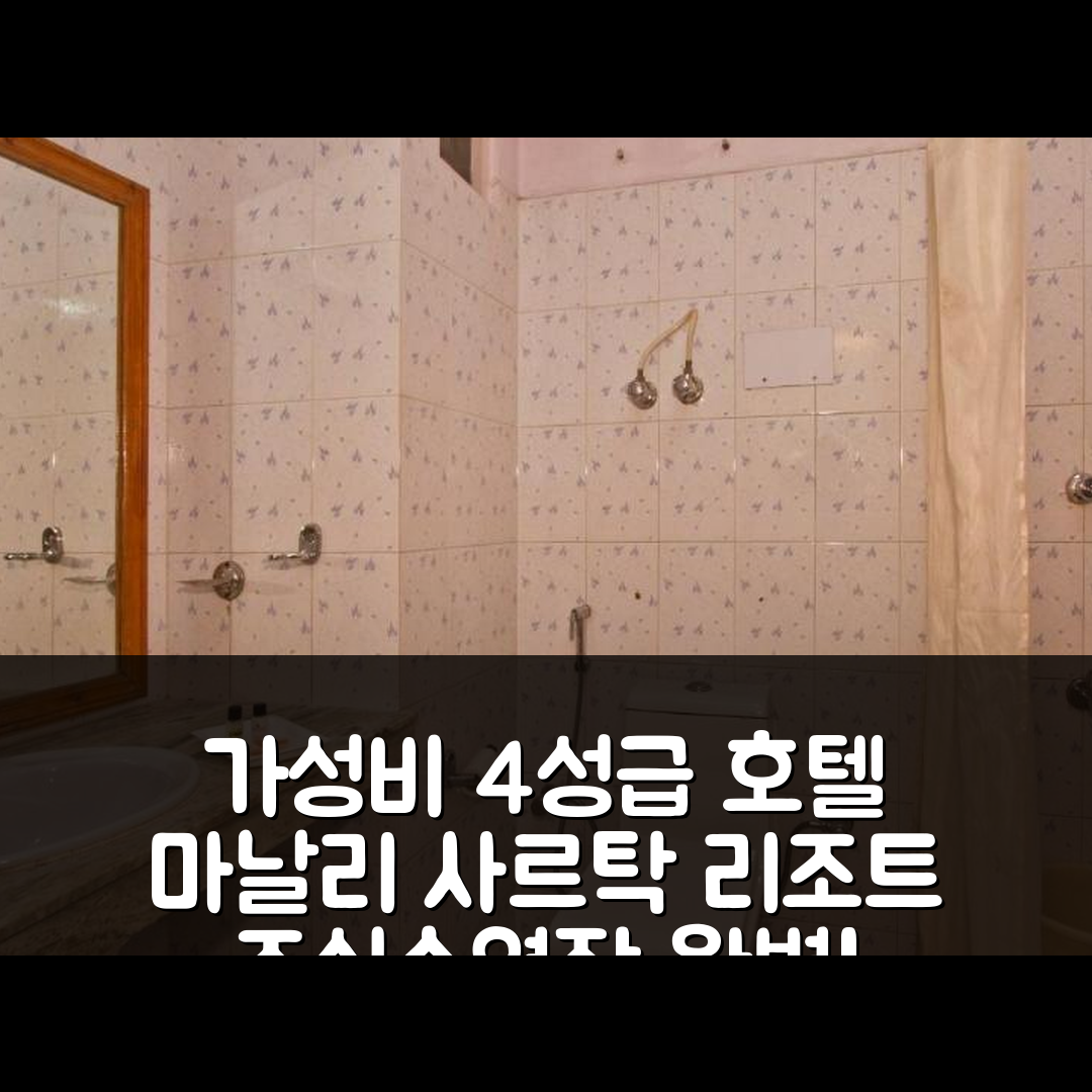 마날리 숙소 여행 호텔 추천 사르탁 리조트 | 가성비 뛰어난 4성급 조식과 수영장 정보 5가지