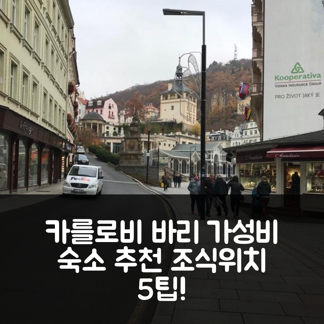 카를로비 바리 숙소 여행 호텔 추천 뉴 코지 스튜디오 | 가성비 뛰어난 조식과 위치 정보 5가지 팁
