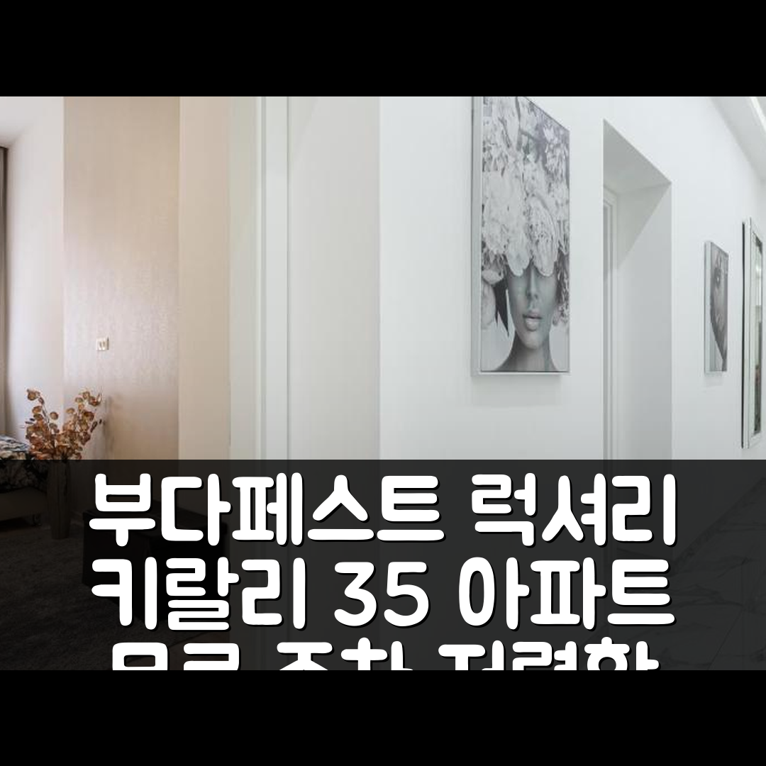 부다페스트 숙소 여행 호텔 추천 키랄리 35 럭셔리 아파트 | 무료 주차와 4가지 가성비 최고 이유