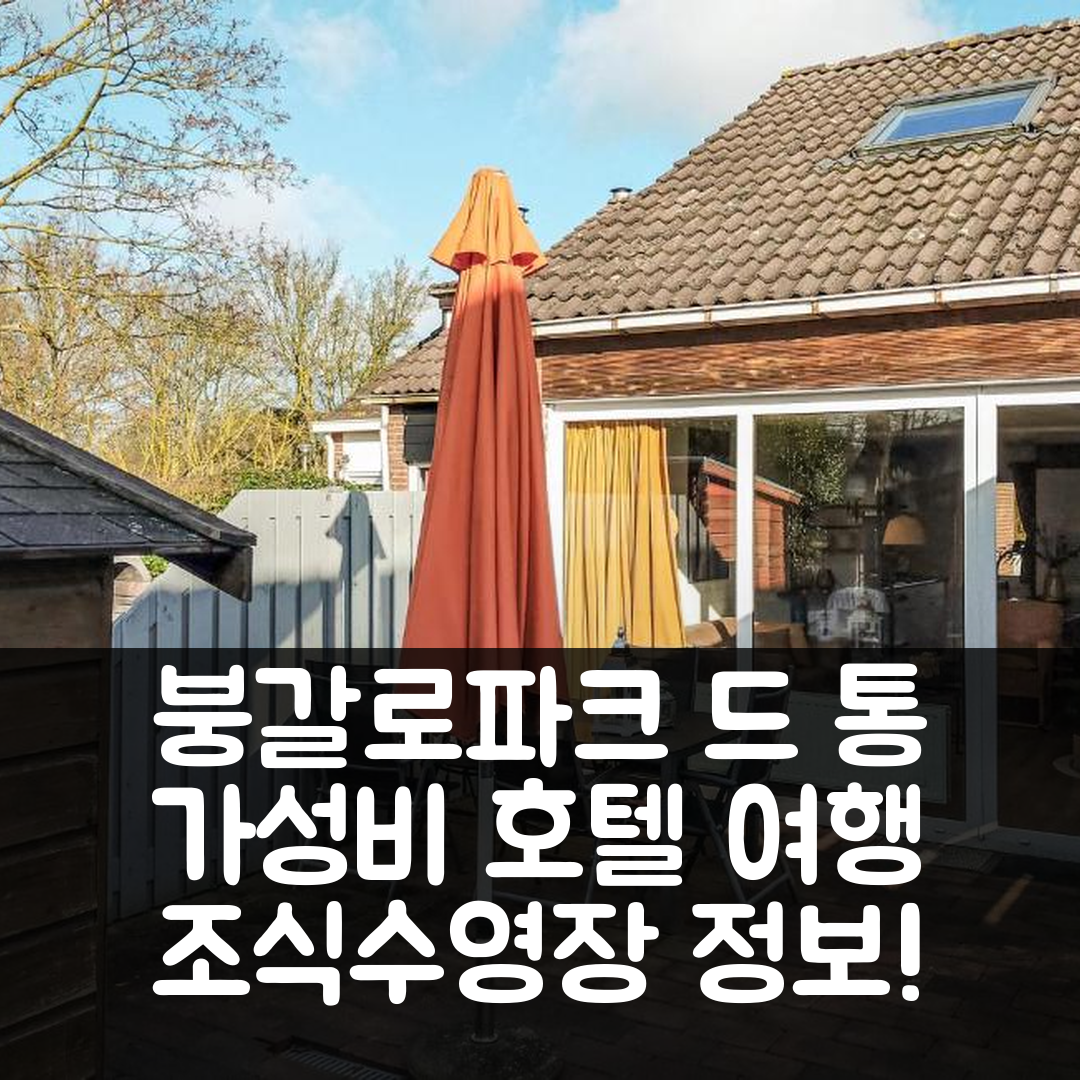 쇼우벤 두이브란트 숙소 여행 호텔 추천 붕갈로파크 드 통 | 가성비 뛰어난 조식과 수영장 정보 5가지