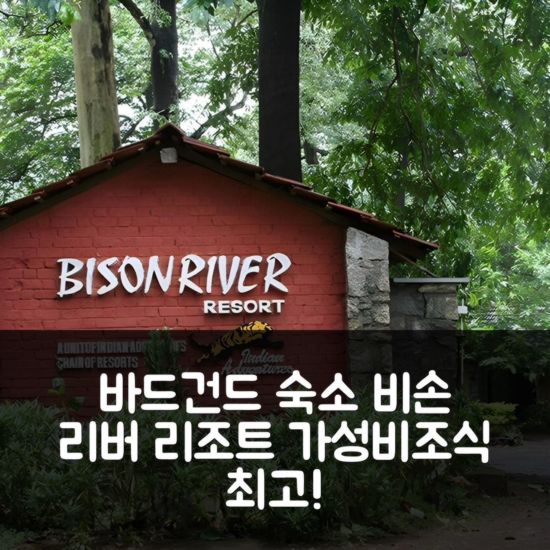 바드건드 숙소 여행 호텔 추천 비손 리버 리조트 | 4성급 조식과 가성비 최고의 위치를 찾는 6가지 팁