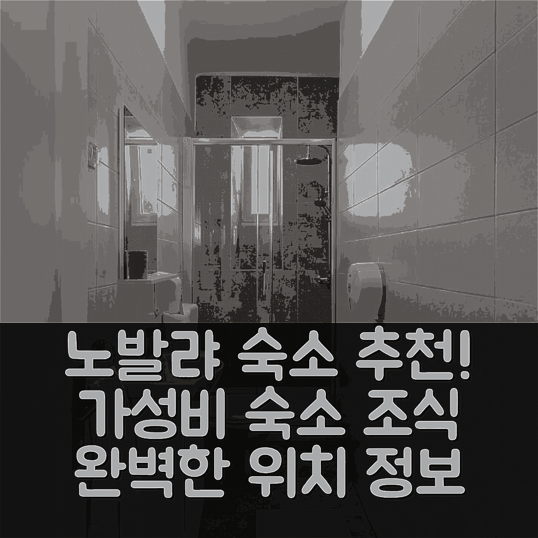 노발랴 숙소 여행 호텔 추천 호스텔 카사 라 차 호텔 | 가성비 뛰어난 조식과 위치 정보 7가지