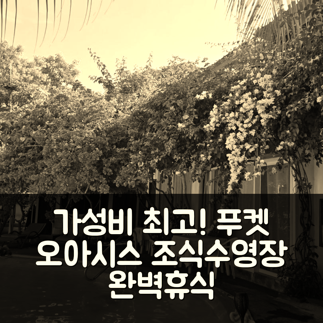 푸켓 숙소 여행 호텔 추천 오아시스 푸켓 공항 호텔 | 3가지 가성비와 조식, 수영장으로 완벽 휴식지