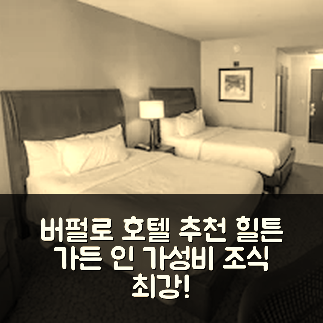 버펄로 숙소 여행 호텔 추천 힐튼 가든 인 버팔로 시내 | 가성비와 조식이 뛰어난 5가지 이유
