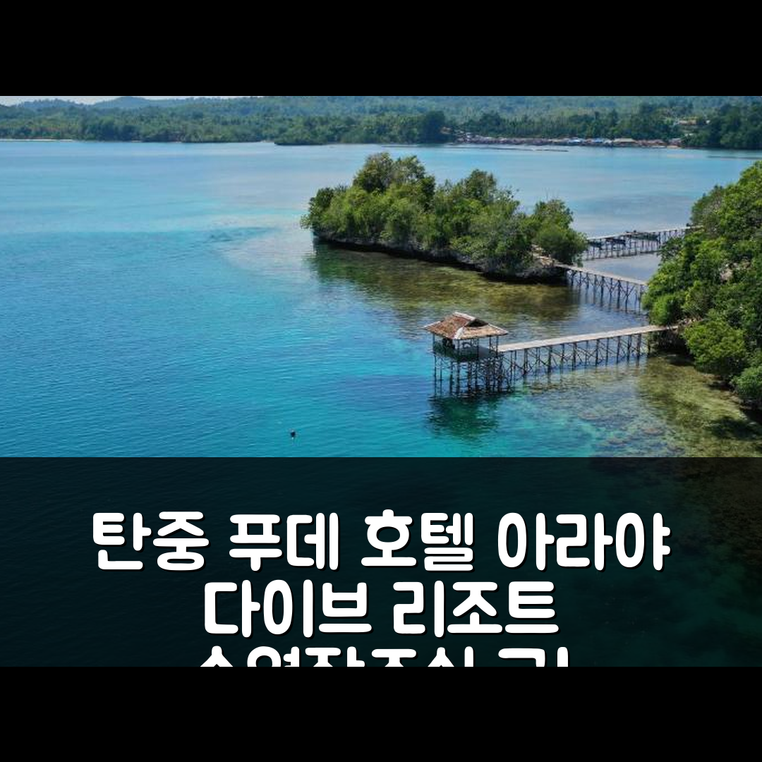 탄중 푸데 숙소 여행 호텔 추천 아라야 다이브 리조트 | 수영장과 조식이 뛰어난 5성급 가성비 팁 7가지