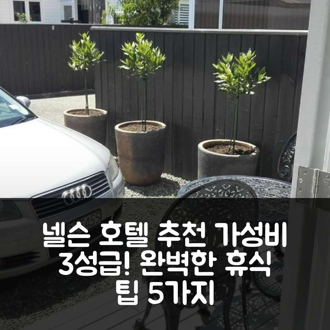 넬슨 숙소 여행 호텔 추천 빌라 온 밀턴 | 가성비 좋은 3성급 조식과 수영장 완벽한 휴식 5가지 팁